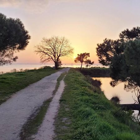 La Maisonnette De Suzette Lanton Kültér fotó